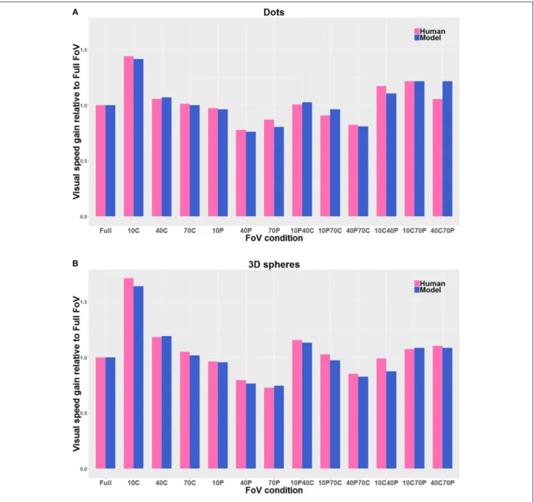 FIGURE 9 | Direct comparison of the visual gains measured with the participants (Human) with the visual gains given by the model (Model), both when the visual stimulus consisted of Dots (A) and of 3D spheres (B)