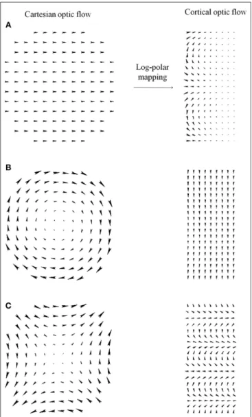 Figure A1 shows how the Cartesian optic flow patterns are transformed into the cortical domain