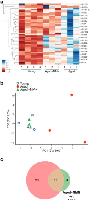 Fig. 1 NMN treatment reverses age-related changes in miRNA ex- ex-pression profile in the mouse aorta