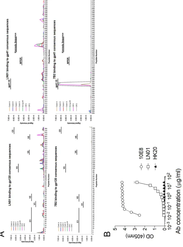 Figure S4 related to Figure 4. LN01 epitope specificity and binding. 