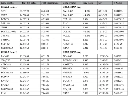 Table 1.  Top downstream targets of CBX2.1 and CBX2.2 obtained from DamID and RNA-seq data.