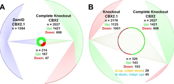 Figure 5.  NGS target comparisons. (A) Comparison between CRISPR/Cas9 RNA-Seq targets with DamID- DamID-Seq targets of CBX2.1