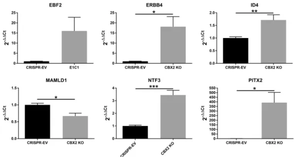 Figure 7.  qRT-PCR quantification of selected genes directly bound by CBX2.1. The relative expression values  (2 −ΔΔCt ) were calculated compared to the control (CRISPR-EV  =  1)