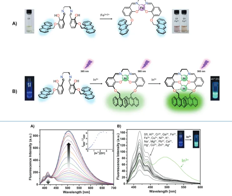 Figure 2. (A) Spectroﬂuorimetric titration of S1 (40 μM) by In(NO 3 ) 3 (0 to 240 μM) in DMF (λ ex = 365 nm)
