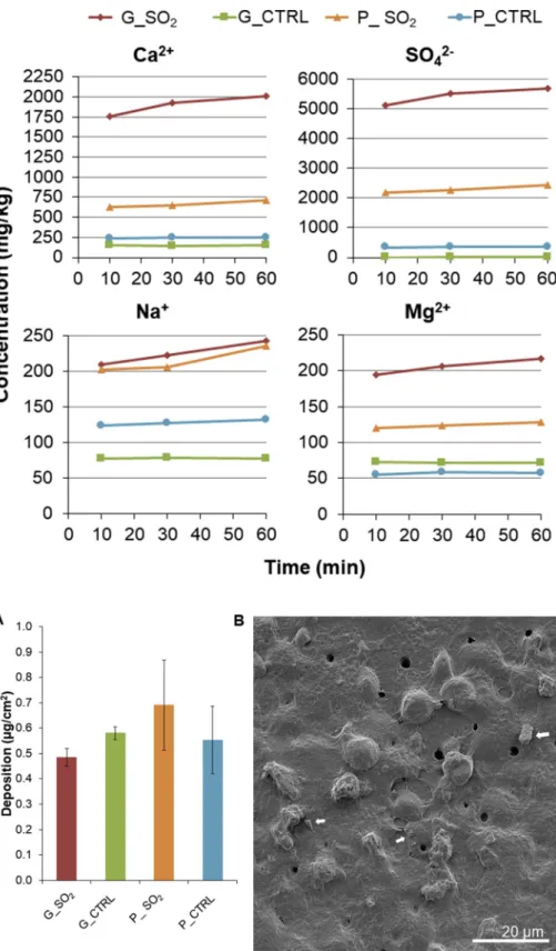 Fig. 7. Deposition of nebulized respirable fraction of SO 2 -exposed and control glass and pumice samples.