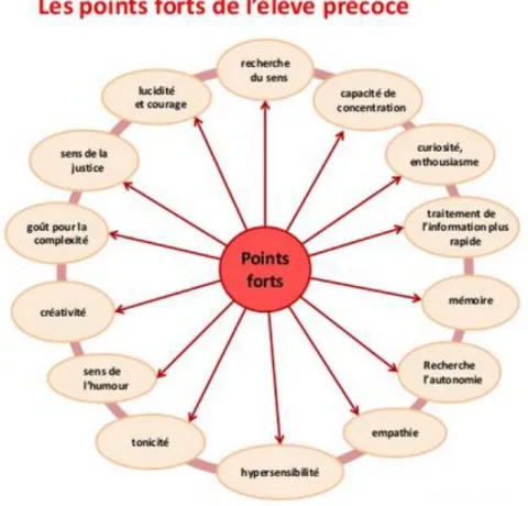 Figure 1 : Les points forts de l’élève HPi 2 