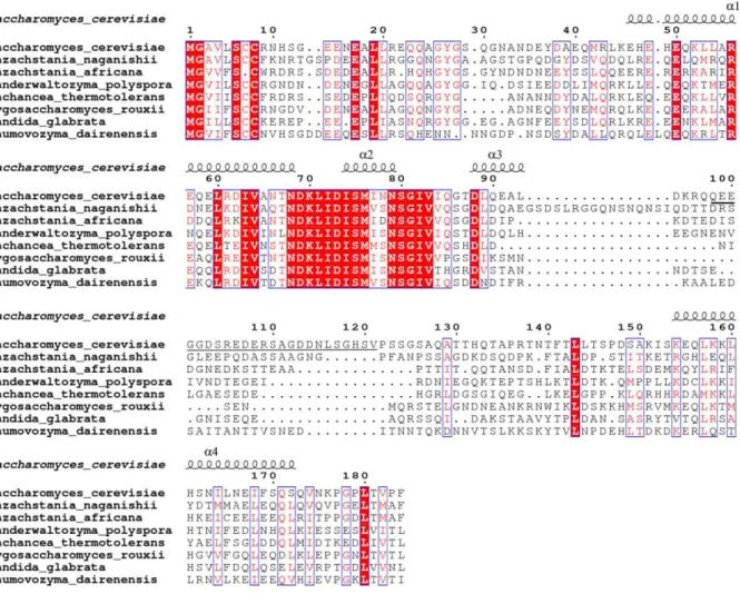 Fig. S1. Sequence alignment of Ego1 from different species as analyzed by ESPript 3.0 (34)