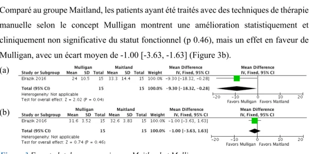 Figure 3 Forest plot des comparaisons : Maitland et Mulligan.  