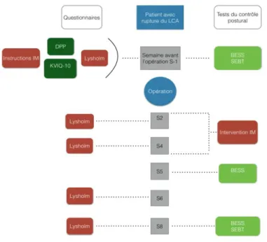 Figure 1 : Diagramme du protocole de l’étude globale modifié 