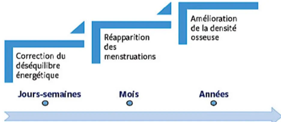 Figure 3. Evolution de la triade de la femme sportive. (16) 