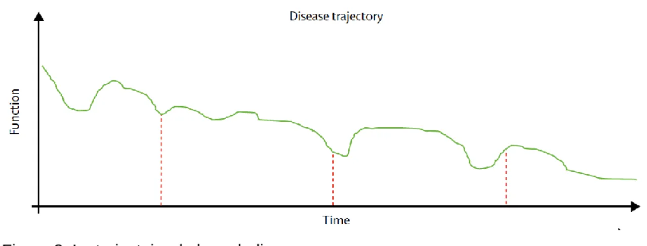 Figure 3. La trajectoire de la maladie. 