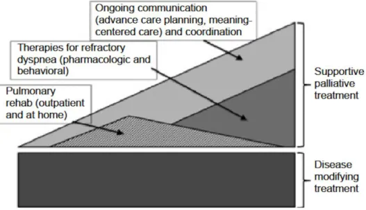 Figure 4. Les soins palliatifs. 