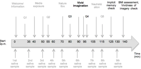Figure 2. Timeline of the experimental manipulation. 
