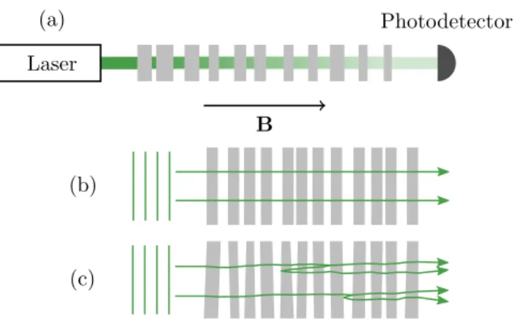 FIG. 1. (a) Localization through a 1D stack of glass slides, and direction of the external magnetic field