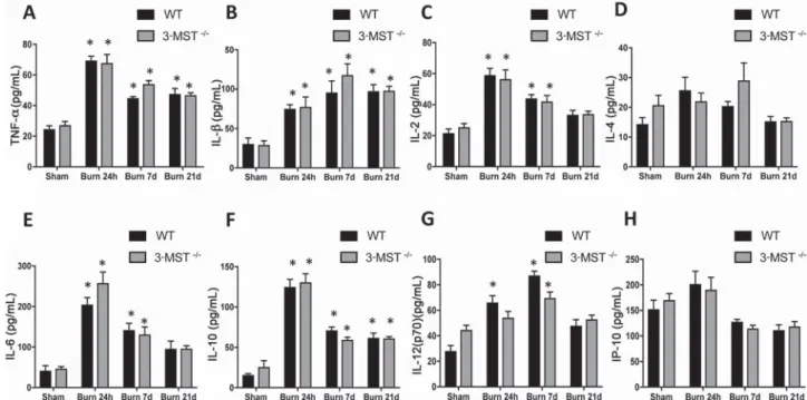 Figure 6. Burn injury increases in selected parameters of organ injury. Various physiological and organ injury marker levels (plasma creatinine (A),  plasma glucose (B), plasma sodium (C), plasma potassium (D), plasma total protein (E) and plasma globulin 