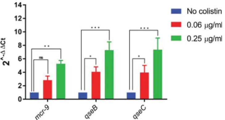 FIG 5 Expression of three selected genes cloned in E. coli TOP10(pNK1-Tot) with and without colistin exposure