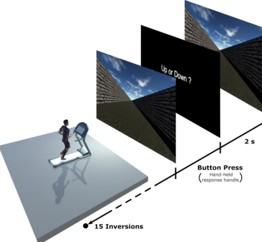 Fig 1. Schematic representation of the experimental set-up. Participants were running on the treadmill in front of a large projection screen (4.30x2.70m)
