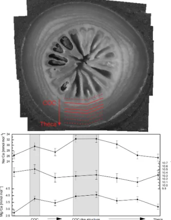 Figure 2. Intraindividual element heterogeneities of one sample from Lopphavet (D. pertusum)