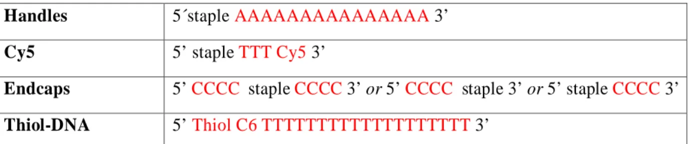 Table S 1: Modified DNA strands. Handles contain a 15xA extension, the Cy5 staple has a 3-T  spacer, and the endcaps 4xC extension(s)