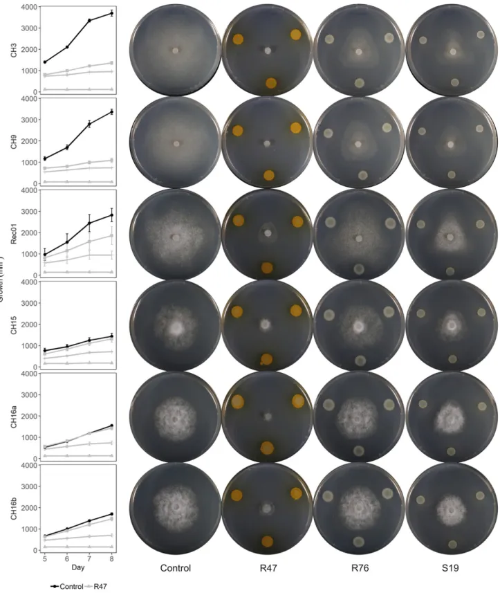 Fig. 5. Evolution over time of the growth of three fast-growing and three slow-growing Phytophthora infestans isolates when exposed to three different bacterial strains.