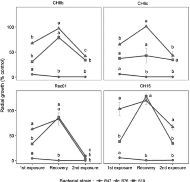 Fig. 7. Effects on mycelial growth of repeated exposure to bacterial antago- antago-nists R76, S19, and R47.