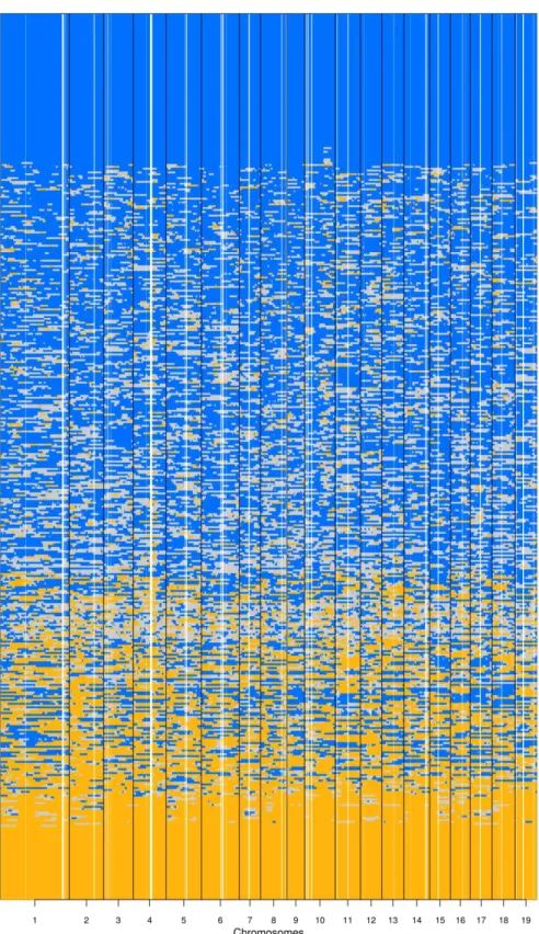 Fig. S3. Summary of local ancestries along the chromosomes (x axis) of 472 common garden  seedlings, ordered along the y axis according to their genome-wide ancestry (each row is an  individual)