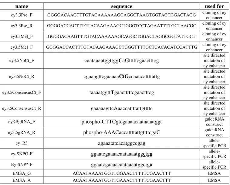 Table S5. List of oligonucleotides, Related to Star Methods 