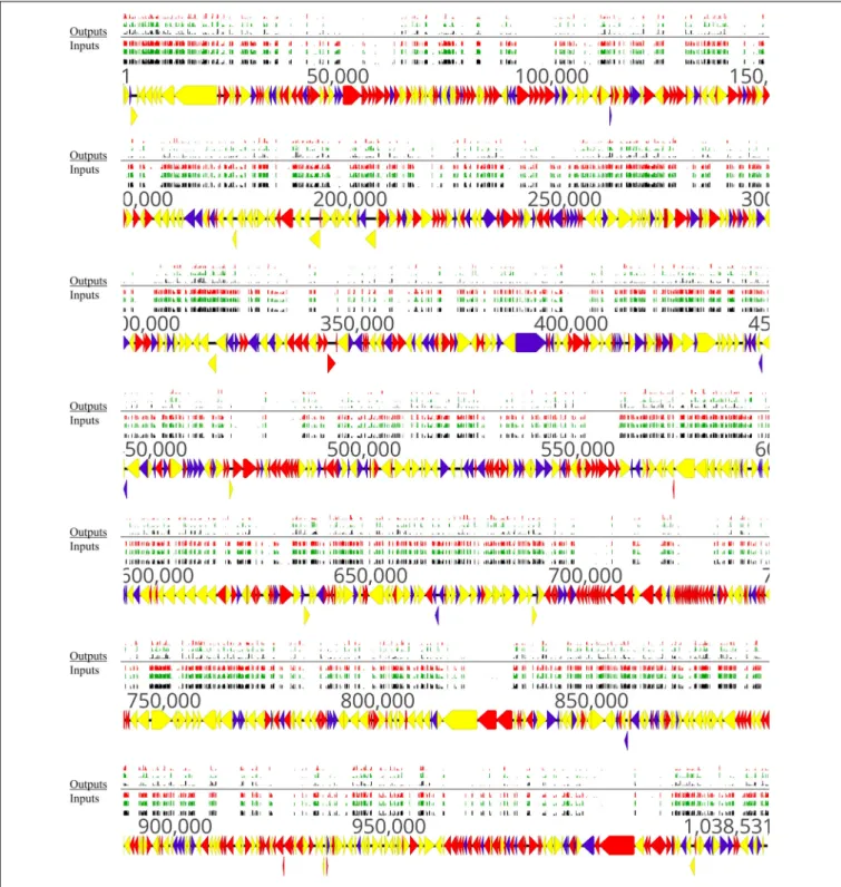 FIGURE 7 | Overview of non-essential, essential, and conditional-essential genes in the genome of M