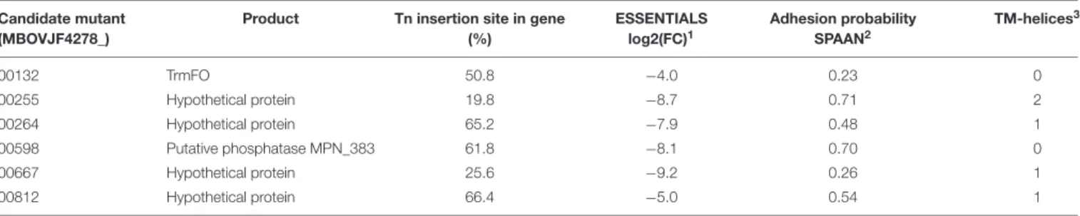 TABLE 4 | Features of the M. bovis potential adhesion-deficient candidate mutants.