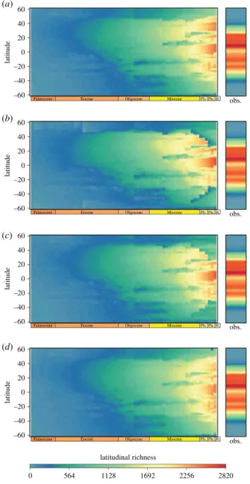Figure 3. Evolution of the LDG in reef fishes according to simulations run under (a) the TA model, (b) the TNC model, (c) the EL model and (d) the ES model