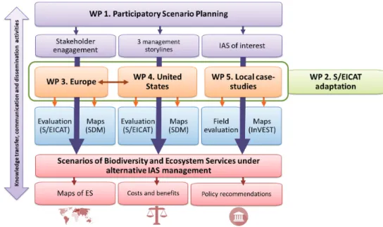 Figure 1.  InvasiBES aims to use scenarios and models to understand and manage the impacts of Invasive  Alien Species on biodiversity and ecosystem services