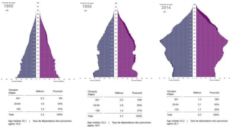 Figure 1 Pyramide des âges selon l'Office Fédérale de la Statistique (OFS)