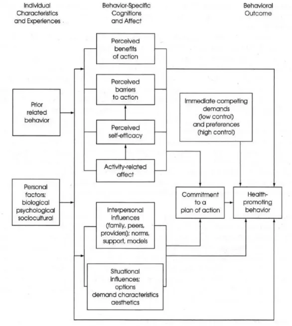 Figure 2 :  Modèle  de  promotion  de  la  santé  de  l’individu  de  Nola  Pender  (Pender, N., Murdaugh, C
