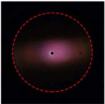 Figure S1.  k-space  imaging of a metallic purple-coloured scale with narrow aperture  illumination in reflection