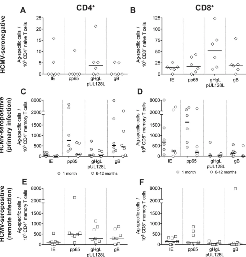 Fig 1. Frequencies of CD4 + and CD8 + T cells specific for HCMV proteins IE-1, pp65, gHgLpUL128L (pentamer) and gB in the naïve pool of HCMV- HCMV-seronegative subjects and in the memory pool of subjects with primary or remote HCMV infection