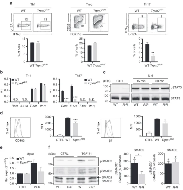 Fig. 5 Trpm7 R/R T cells have autonomous defects in in vitro Th17 polarization and CD103 upregulation