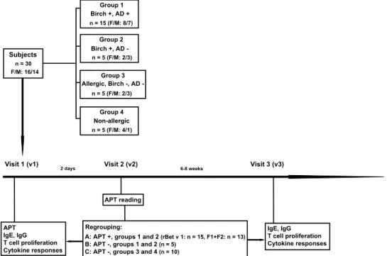 Figure 1.  Study design. Thirty subjects, 15 birch pollen allergic patients suffering from AD (group 1), 5 birch  pollen-related rhinoconjunctivitis patients without AD (group 2), 5 allergic patients without birch pollen  allergy and without AD (group 3), 