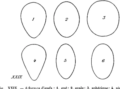 Fig. XXIX. - 6 formes d'œufs : i, ové; 2, ovale; 3, sphérique; 4, piriforme;
