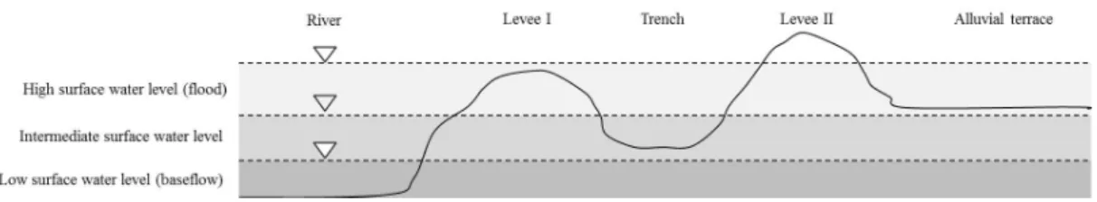 Fig. 1. Example of surface water–groundwater interactions in a floodplain. The white triangles represent the water level  relative to water discharge