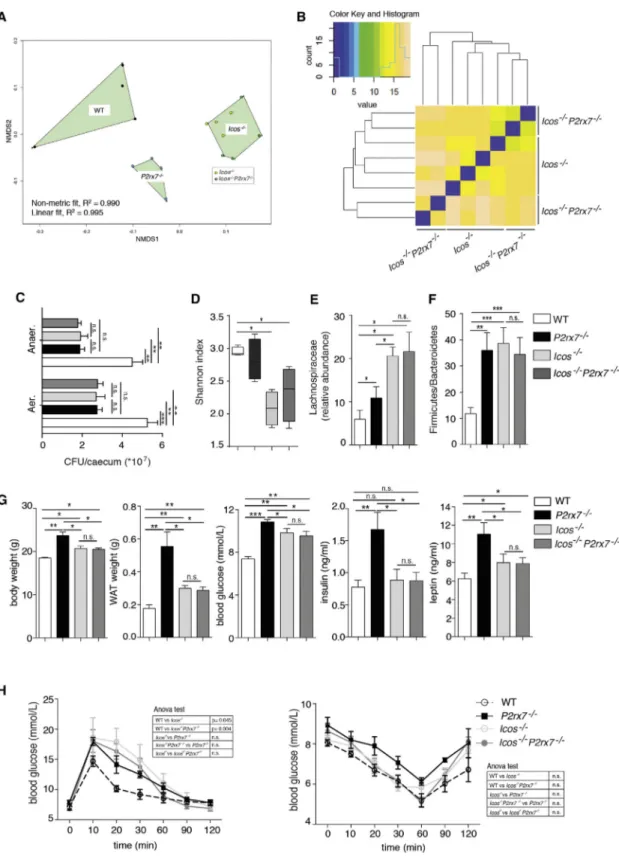 Figure 3. Crucial Role of Tfh Cells in Shaping Commensal Microbiota Composition