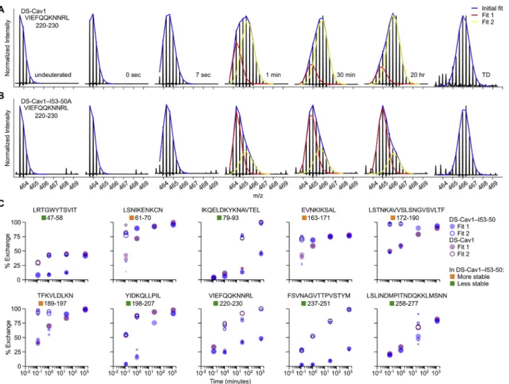 Figure S6. Example of Bimodal Deconvolution of HDX-MS Spectra and HDX Plots for Peptides Displaying Bimodal Deuteration Profiles, Related to Figure 2