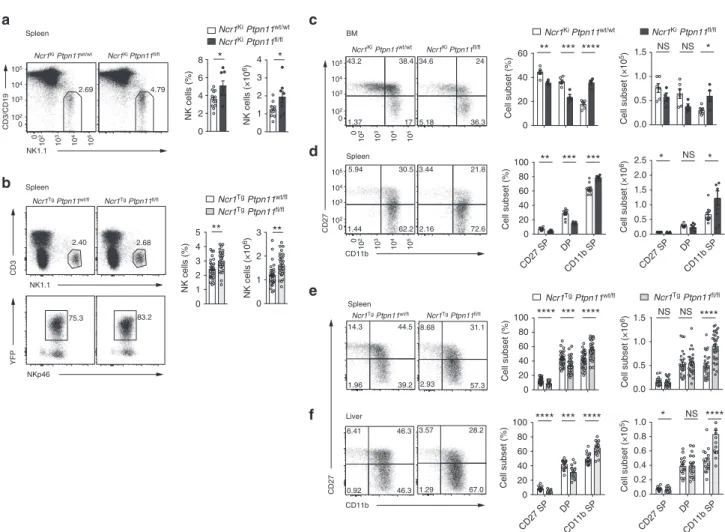 Fig. 1 Loss of Shp-2 leads to increased mature NK cell numbers. a, b Representative ﬂ ow cytometric image, frequency, and number of splenic NK cells (gated as NK1.1 + CD3/CD19 − ) of Ncr1 Ki Ptpn11 ﬂ/ﬂ (dark gray) and control mice (white) are depicted (a) 