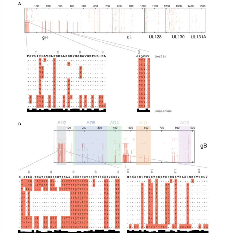 FIGURE 3 | Sequence alignment of the pentamer and gB complexes. Protein sequences were aligned with Clustal  