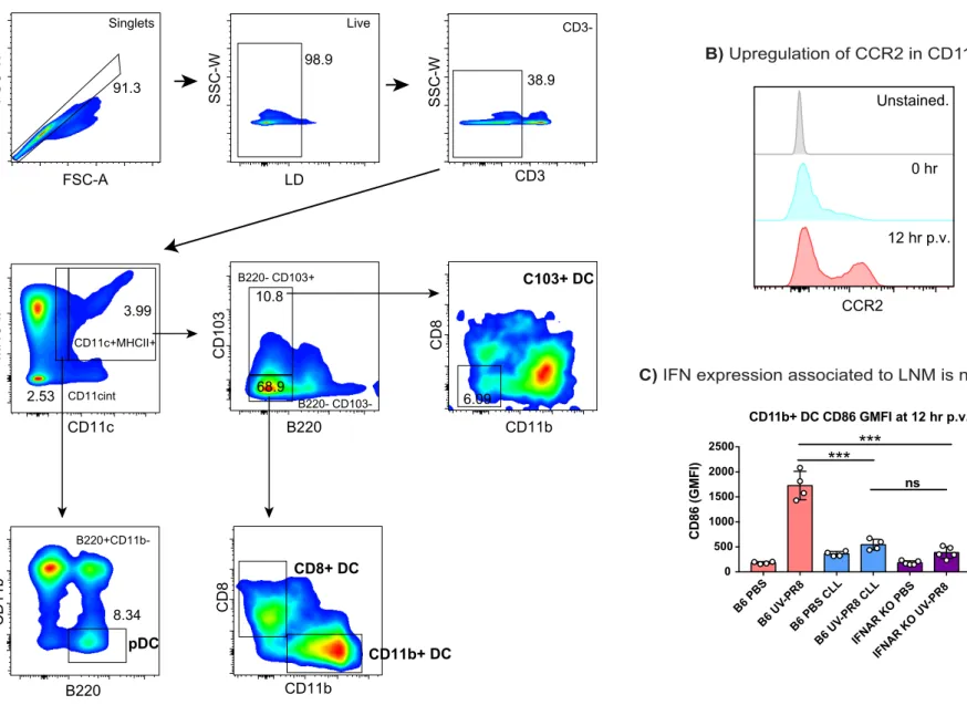 Figure S4. Related to Figure 6: A) Gating stategy for the LN DC subsets: CD103+DC, pDC, CD11b+DC and CD8+DC