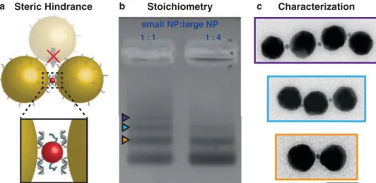 Figure 1.  Assembly and characterization of the plasmonic antenna with a single small NP in the gap