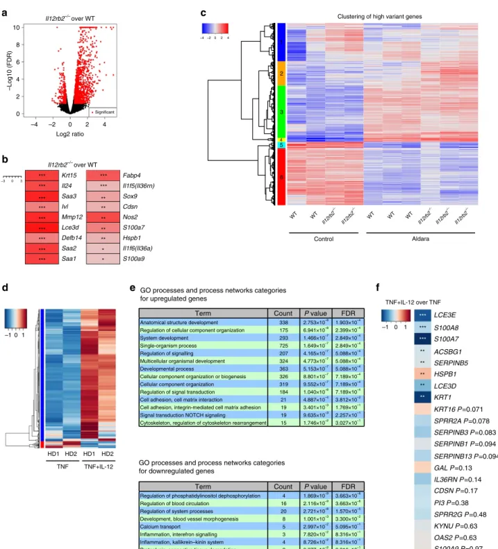 Figure 6 | NGS of mouse and human keratinocytes. (a–c) NGS was performed on RNA extracted from mouse keratinocytes sorted from naive and Aldara- Aldara-treated skin of WT and Il12rb2  / animals