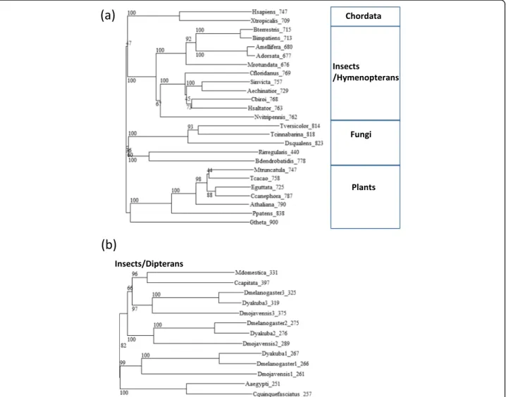 Fig. 1 Phylogenetic trees of TPX2 homologs. a Phylogenetic tree of full length orthologs of TPX2 in representative species