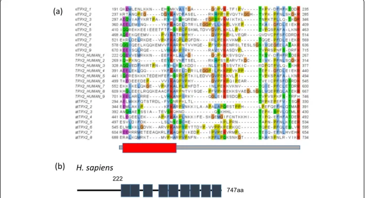 Fig. 2 Repeats in TPX2 proteins. a Multiple sequence alignment of tandem repeats in Xenopus laevis , human and A