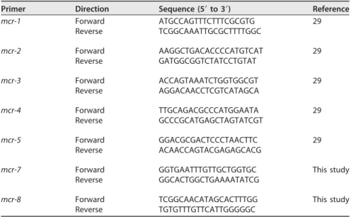 TABLE 1 Oligonucleotides used in this work