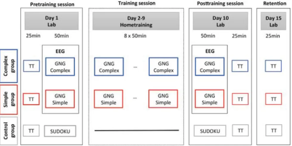 Fig. 1. Experimental Design. TT: transfer tasks; GNG: Go/NoGo task; EEG: electroencephalogram; Lab: laboratory.